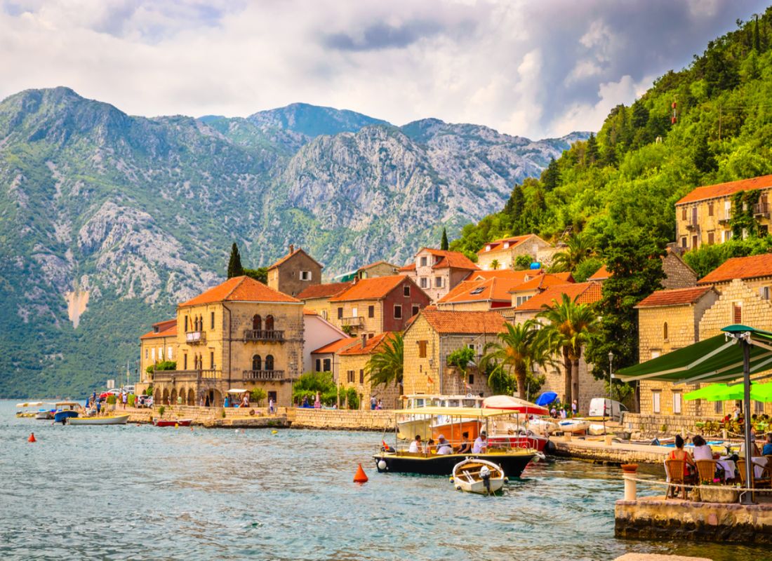 MONTENEGRO · ZAVALA montenegro