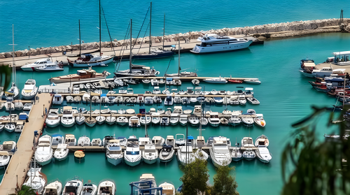 hammamet